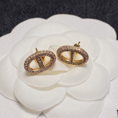 Christian Dior Earrings